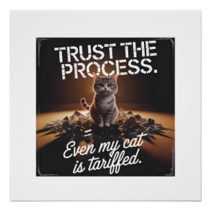 Póster Gato Confia no Processo Humor de Escritório Meme