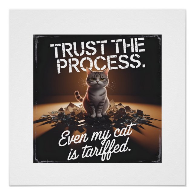 Póster Gato Confia no Processo Humor de Escritório Meme (Frente)