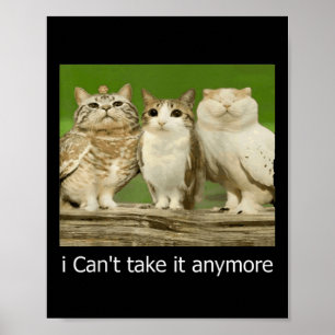 Poster Gato Coruja Engraçado Moto Não Posso Mais Levá-Lo