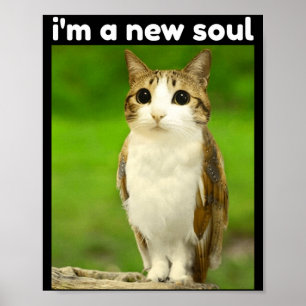 Poster Gato Coruja Meme Meowl Brainrot Engraçado
