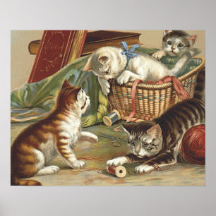 Póster Gato curioso do T