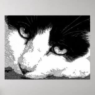 Póster Gato da caneta e da tinta