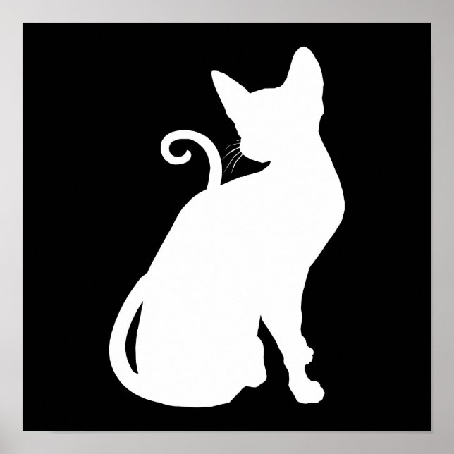 Póster Gato da Casa Branca (Frente)