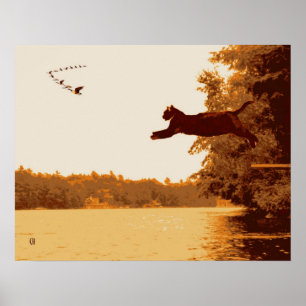 Poster Gato da inspiração