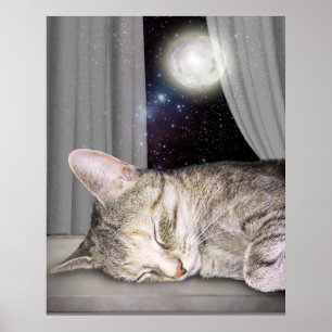 Póster Gato da lua
