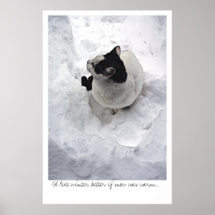 Póster Gato da neve