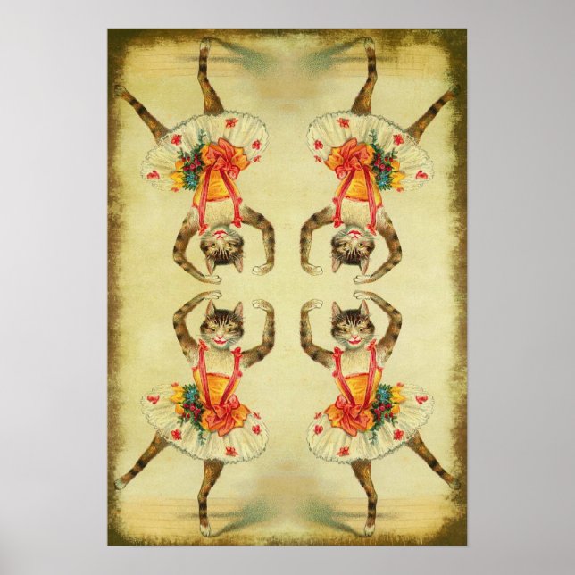 Póster Gato Dançante (Frente)