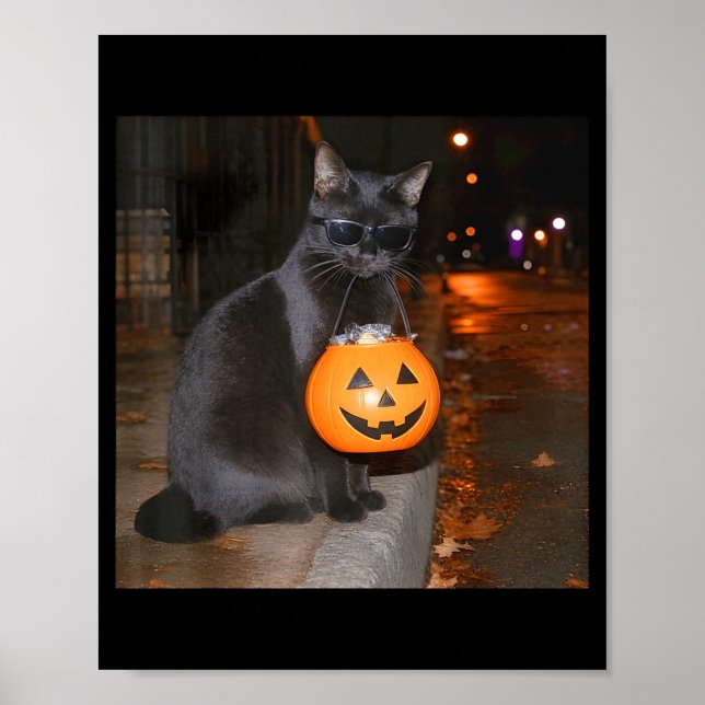 Poster Gato de abóbora engraçado meme truque ou tratament (Frente)