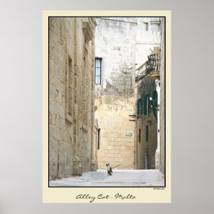 Póster Gato de beco - Malta