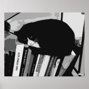 Poster Gato de Biblioteca