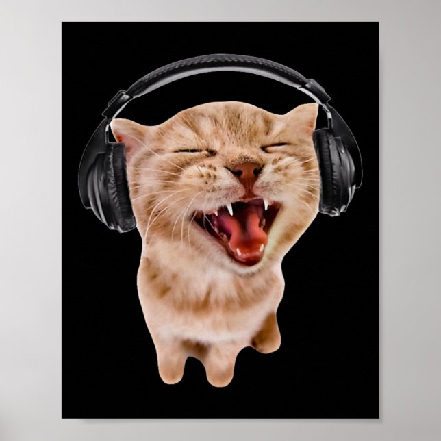 Poster Gato de bobo com Fones de ouvido (Frente)