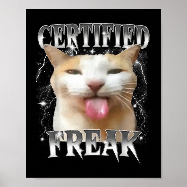 Poster Gato de Bobo Engraçado, Engraçado, Comido, Engraça (Frente)