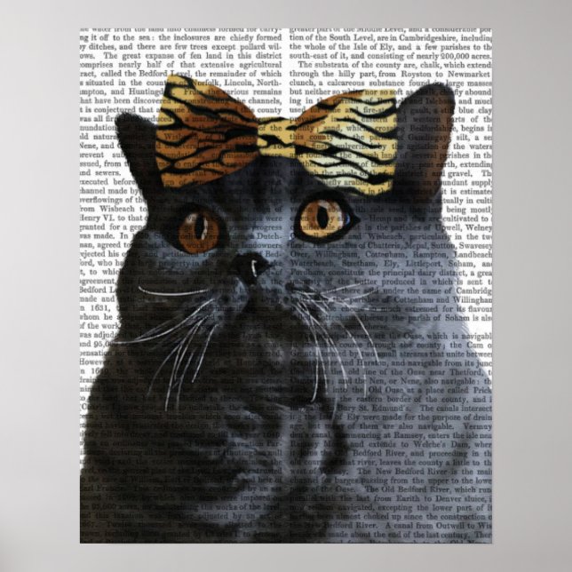 Poster Gato de cinza com Arco-leopardo (Frente)