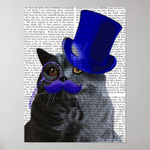 Póster Gato de cinza com bigode azul superior e bigode az