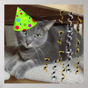 Póster Gato de Cinza festa de aniversário