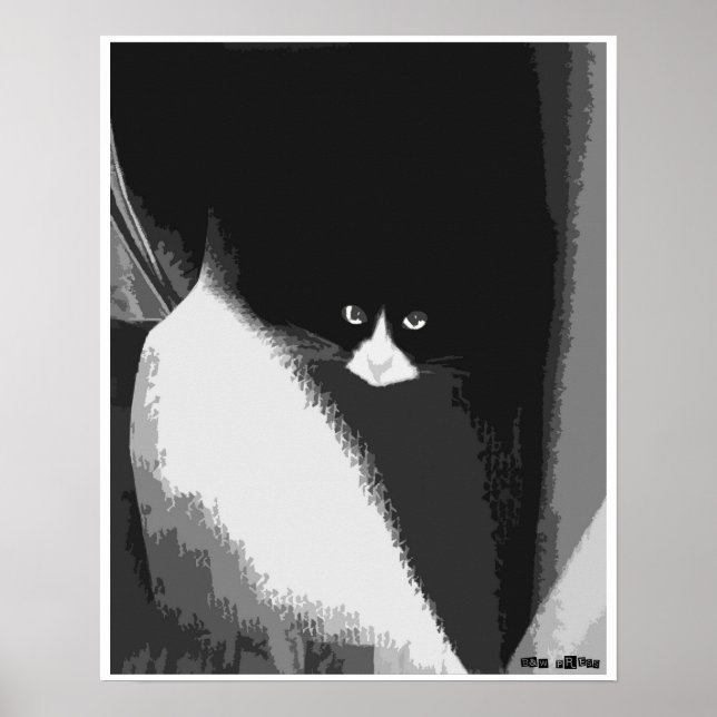 Poster Gato de Closet (Frente)