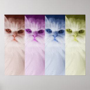 Póster gato de colores