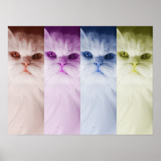 Póster gato de colores