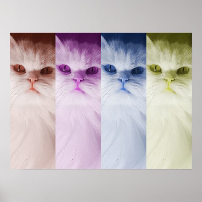Póster gato de colores (Frente)