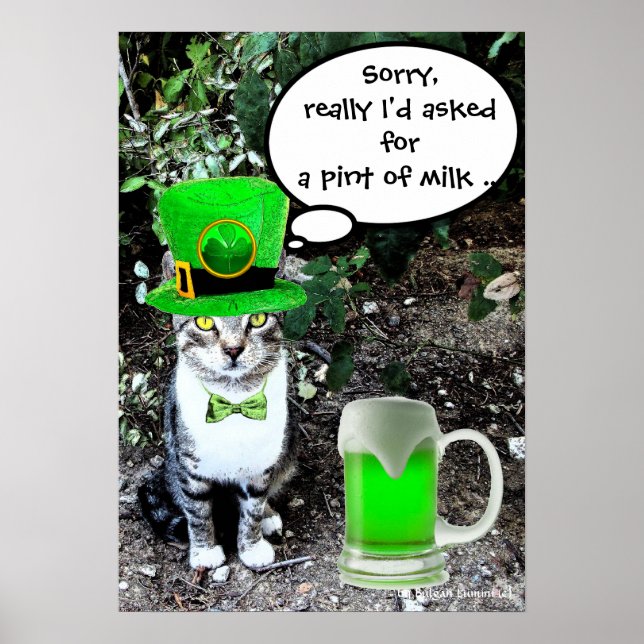 Póster GATO DE Dia de São Patrício COM CERVEJA VERDE IRLA (Frente)
