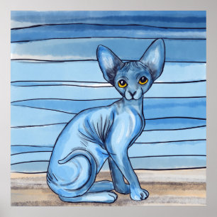 Poster Gato de Esfinge de Cor Azul