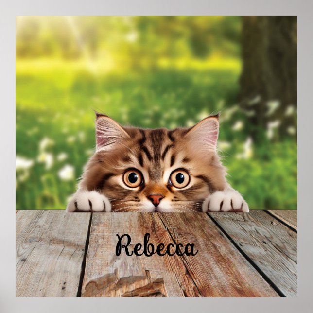 Poster Gato de espiã siberiano bonito (Frente)