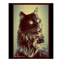 Gato de Floresta Negra