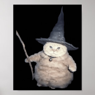 Poster Gato de Magia Engraçado Fofo Gatinho Estranho Meme