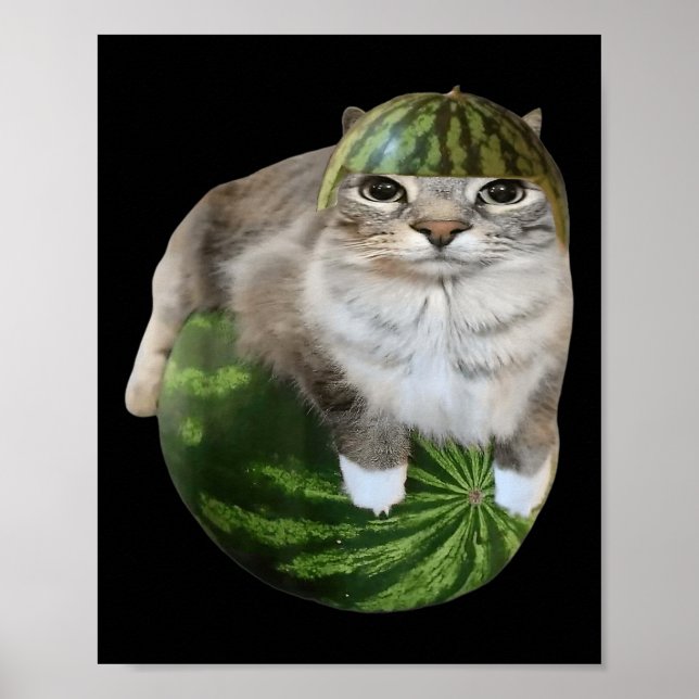 Poster Gato de Melancia Meme Divertido  (Frente)