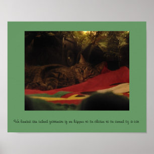 Poster Gato de Natal