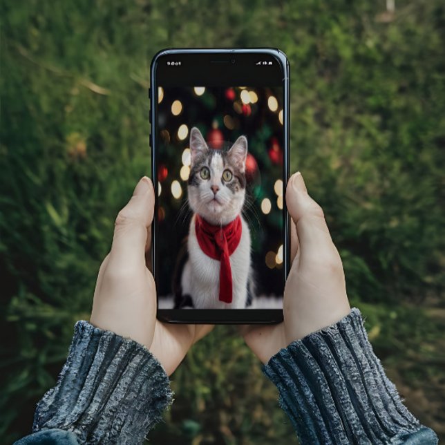 Poster Gato de Natal bonito com um arco (Criador carregado)
