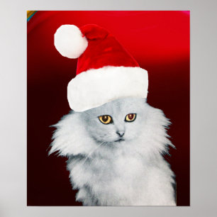 PÓSTER GATO DE NATAL BRANCO COM CHAPÉU SANTA CLAUS HAT, 