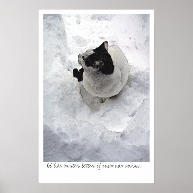 Póster Gato de Neve (Frente)