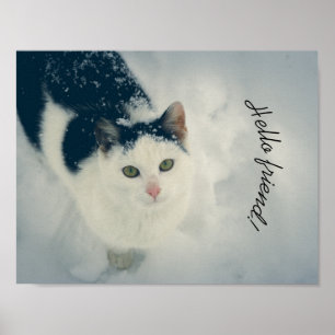 Poster Gato de neve