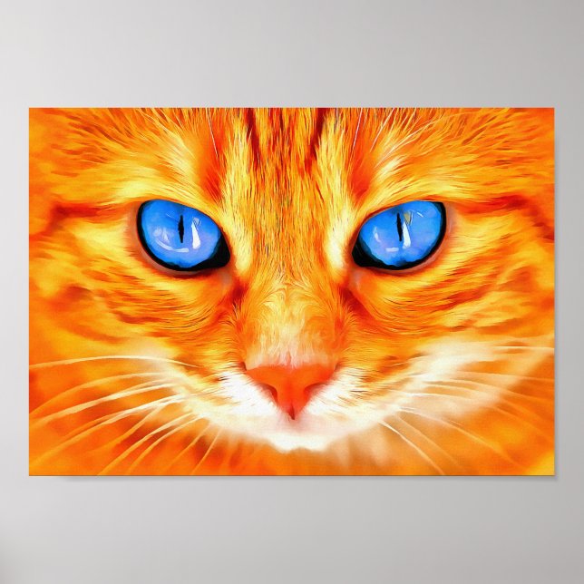 Poster Gato de olhos azuis (Frente)
