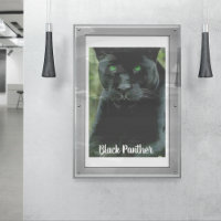 Gato de Pantera Preta com Olhos Verdes