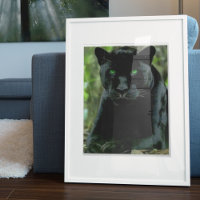 Gato de Pantera Preta com Olhos Verdes