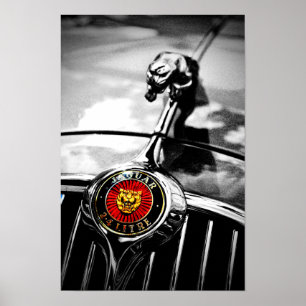 Poster Gato de Salto de Jaguar Leaper