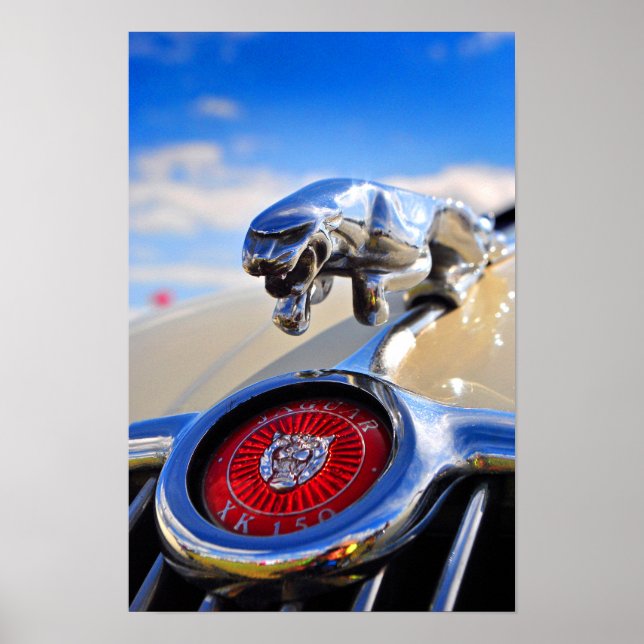 Poster Gato de Salto de Jaguar Leaper (Frente)
