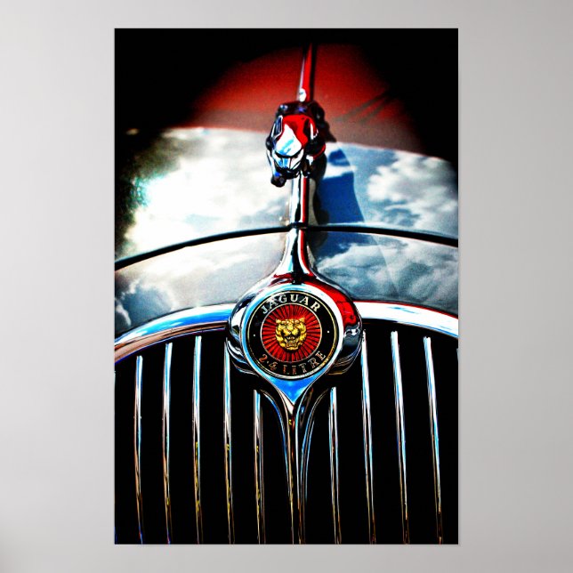 Poster Gato de Salto de Jaguar Leaper (Frente)