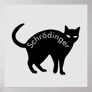 Poster Gato de Schrödinger