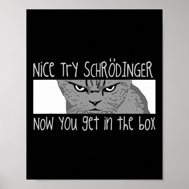 Poster Gato de Schrodinger - Físico (Frente)