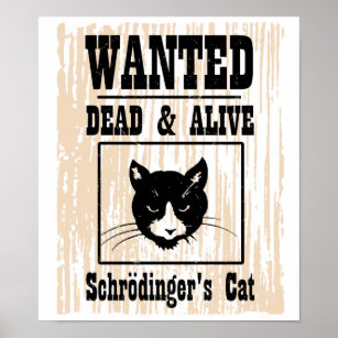 Poster Gato de Schrodinger Procurado