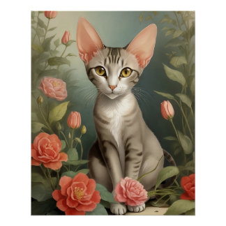Póster Gato de Shorthair Oriental