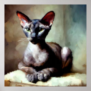 Poster Gato de Shorthair Oriental