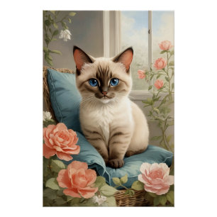 Póster Gato de Siamese