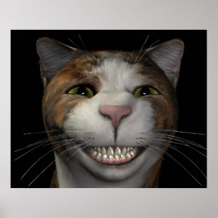 Póster Gato de sorriso