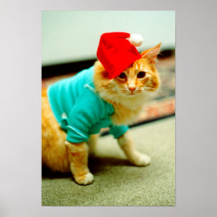 Poster Gato de Teclado Original 1984