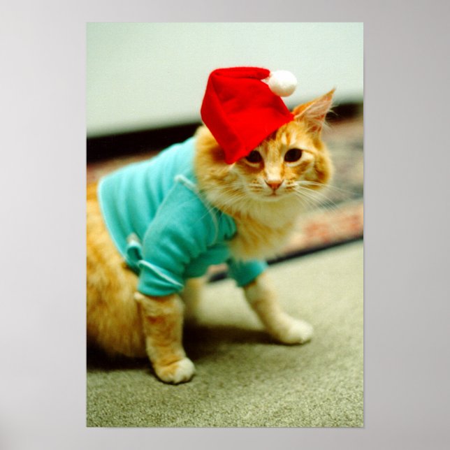 Poster Gato De Teclado Original Cat 1984 (Frente)