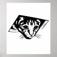 Gato de teto